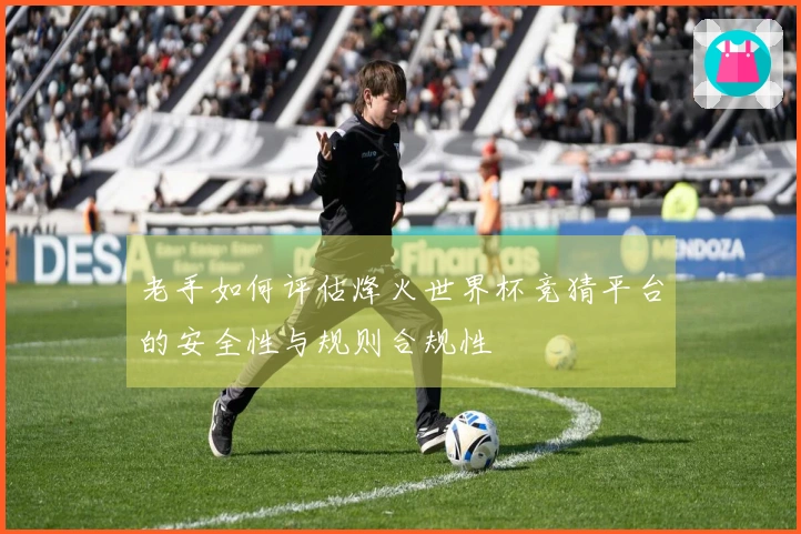 老手如何评估烽火世界杯竞猜平台的安全性与规则合规性