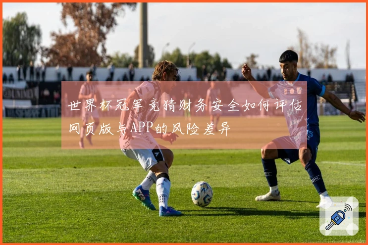 世界杯冠军竞猜财务安全如何评估网页版与APP的风险差异