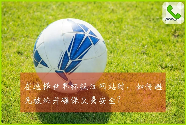 在选择世界杯投注网站时，如何避免被坑并确保交易安全？
