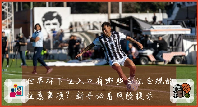 世界杯下注入口有哪些合法合规的注意事项？新手必看风险提示