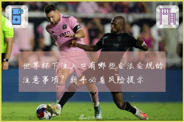 世界杯下注入口有哪些合法合规的注意事项？新手必看风险提示